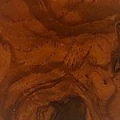 Шпон корня оливкового дерева