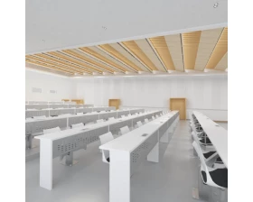 Аудиторный ряд Ньютон LS-420 images