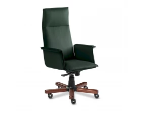 Кресло Epsilon Luxe A images