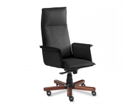 Кресло Epsilon Luxe A images