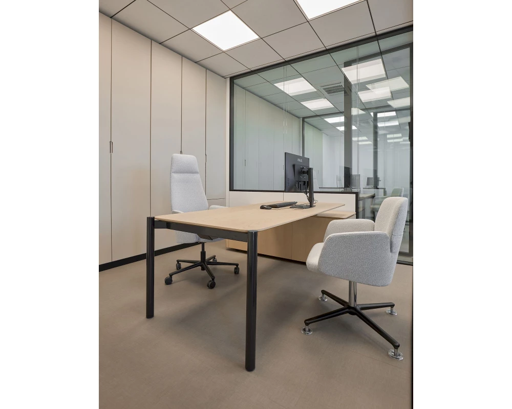 Кабинет руководителя Terra (of)