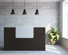 Мебель для приемной Салют / Salute images