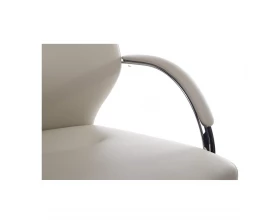 Кресло RV DESIGN Alonzo-CF (С1711) images