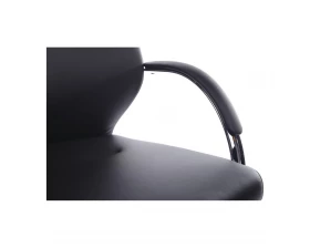 Кресло RV DESIGN Alonzo-CF (С1711) images