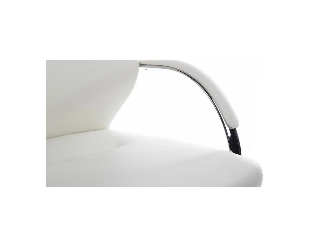 Кресло RV DESIGN Alonzo-CF (С1711)