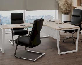 Кабинет руководителя Style Project Direct images