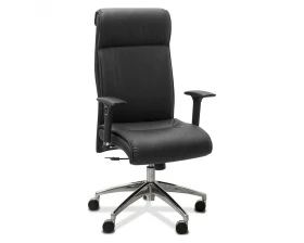 Кресло Dark подлокотники 3D images