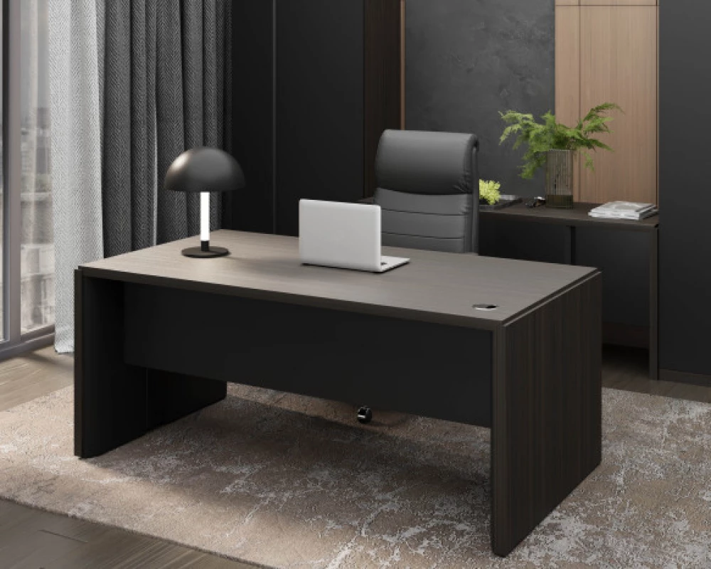 Кабинет руководителя Vegas (df)