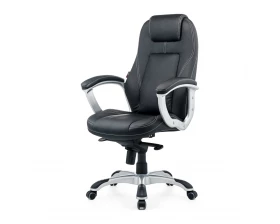 Кресло Bruny 2183Н Экокожа, Черный images