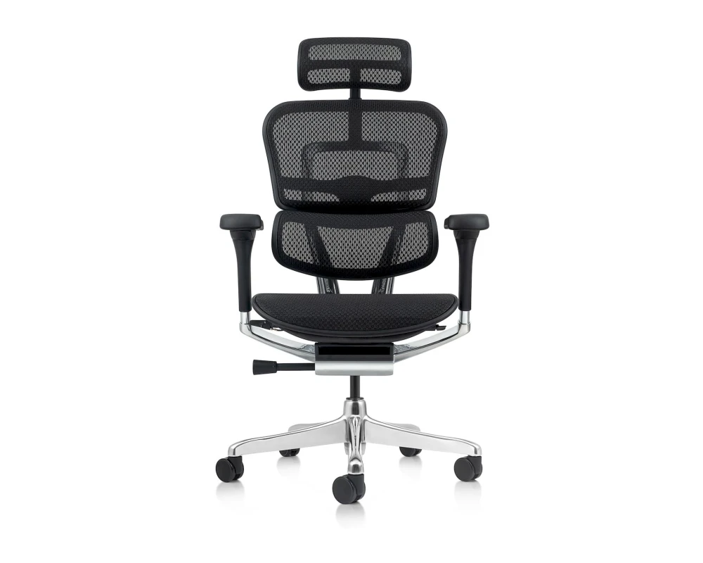 Кресло руководителя Ergohuman Elite 2 HAM Сетка, Черный