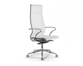 Кресло SynchroSit 10 B1-107K M23.B23.G18.W13 Сетка, Белый images