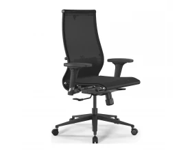 Кресло SynchroSit 10 B2-189D M25.B11.G19.W02 (подл. 1) Сетка, Черный images