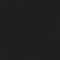 P2 EUROLINE 9100 (Черный)